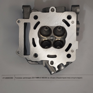 Головка цилиндра ZS174MN-5 NB300