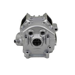 Головка цилиндра ZS174MN-3 (CBS300) Головка цилиндра ZS174MN-3 (CBS300)
