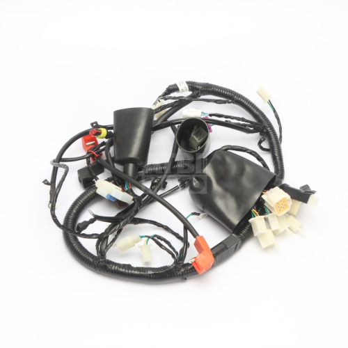 Жгут проводов Avantis Dakar Жгут проводов Avantis Dakar